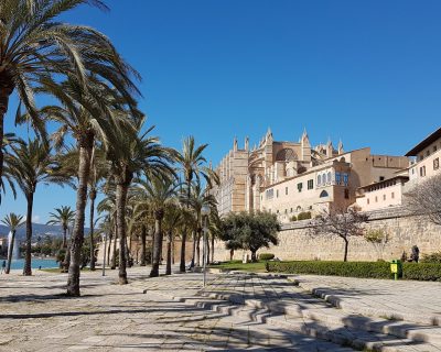 20200221_135016 La Seu, Palma