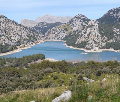 20240304_144632 Gorg Blau