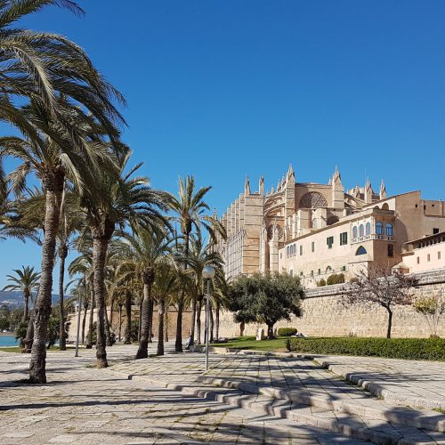 palma2