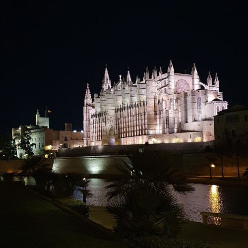 palma5